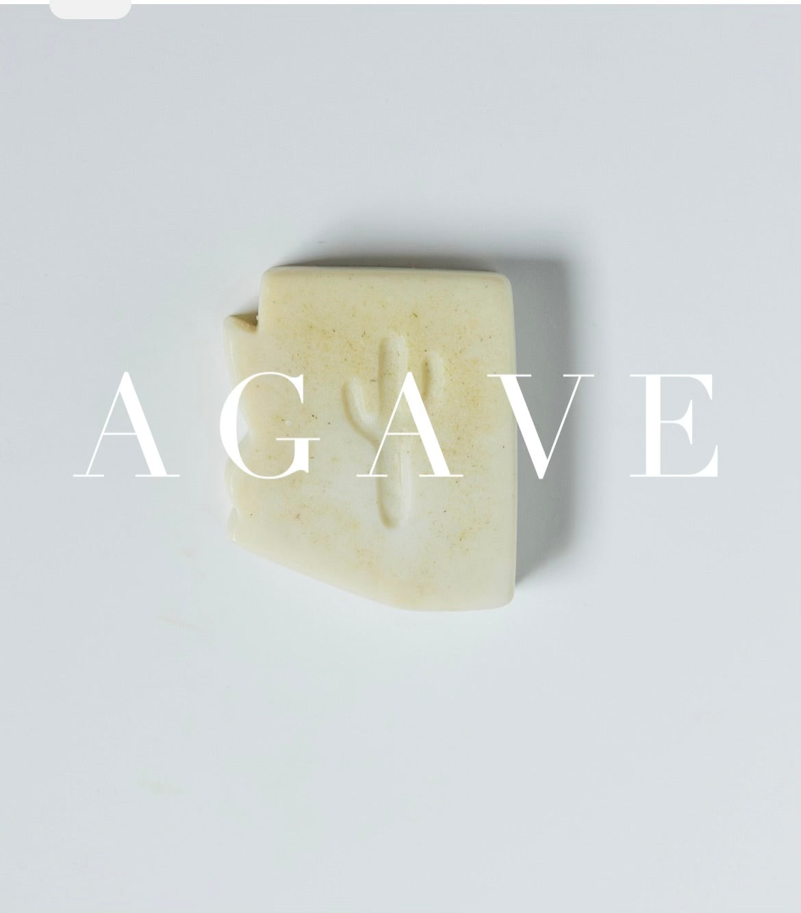 Arizona Agave