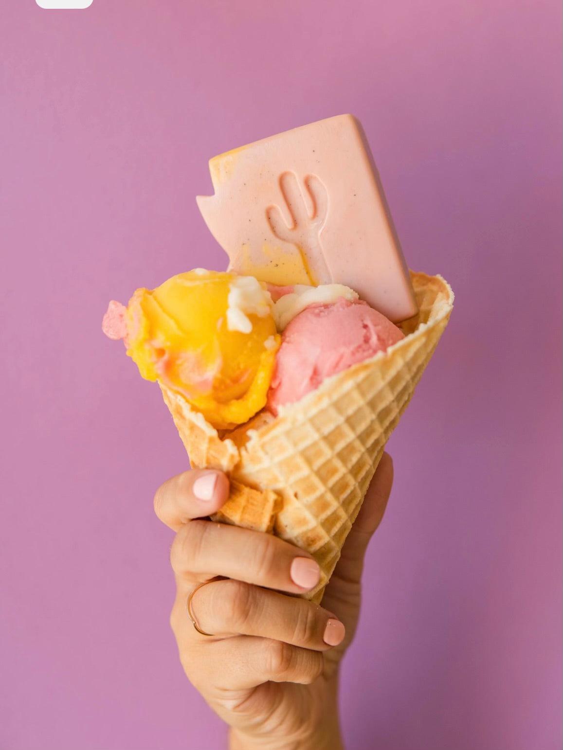 Arizona Prickly Pear Sorbet