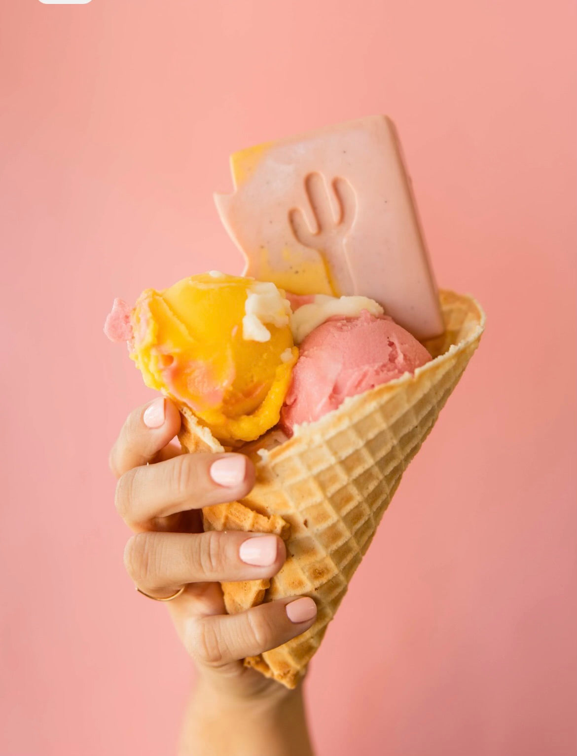 Arizona Prickly Pear Sorbet