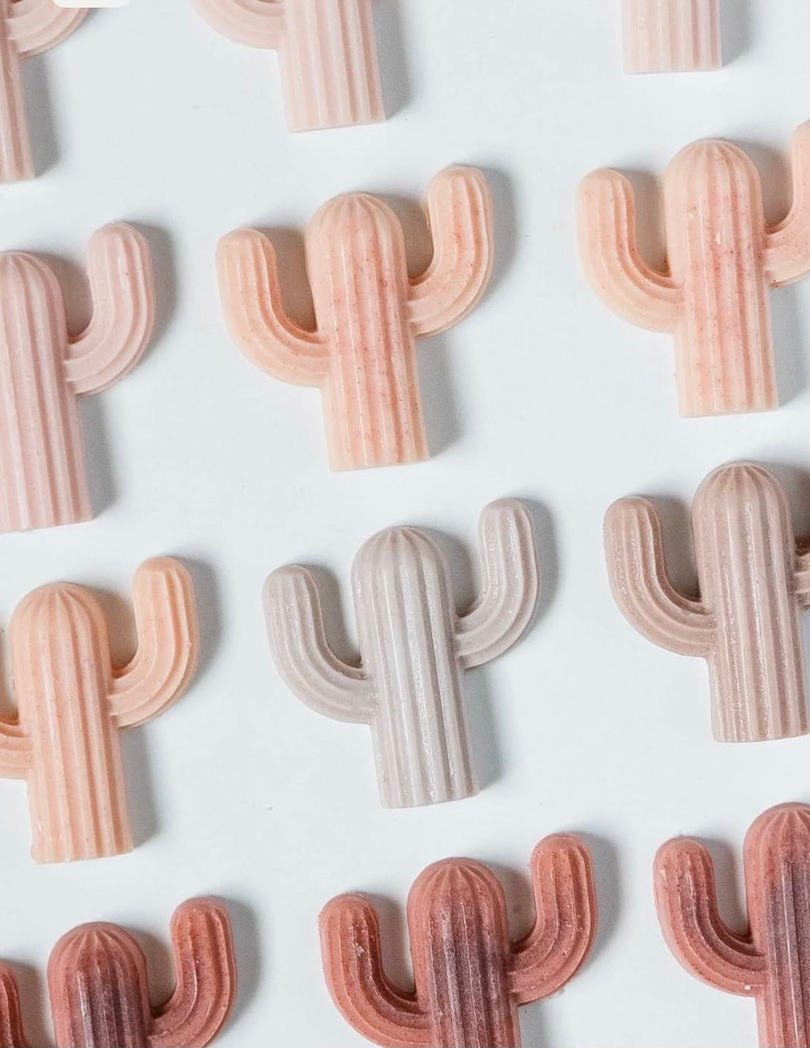 Mini Cactus Soaps
