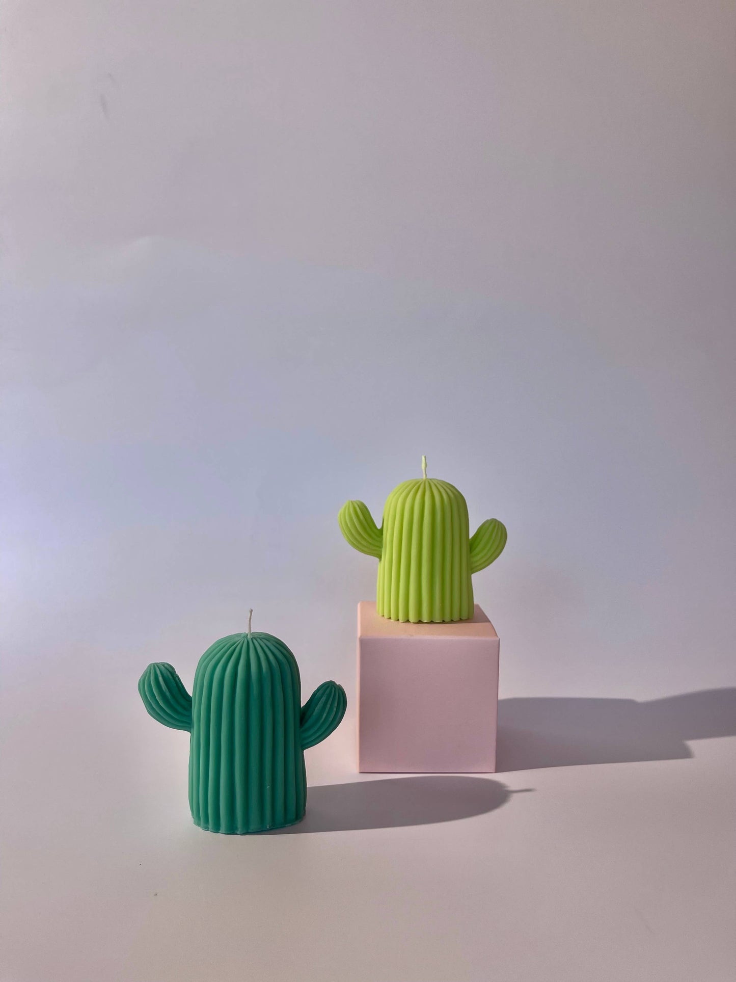 All Natural Soy Pillar Wax Cactus Decorative Candle
