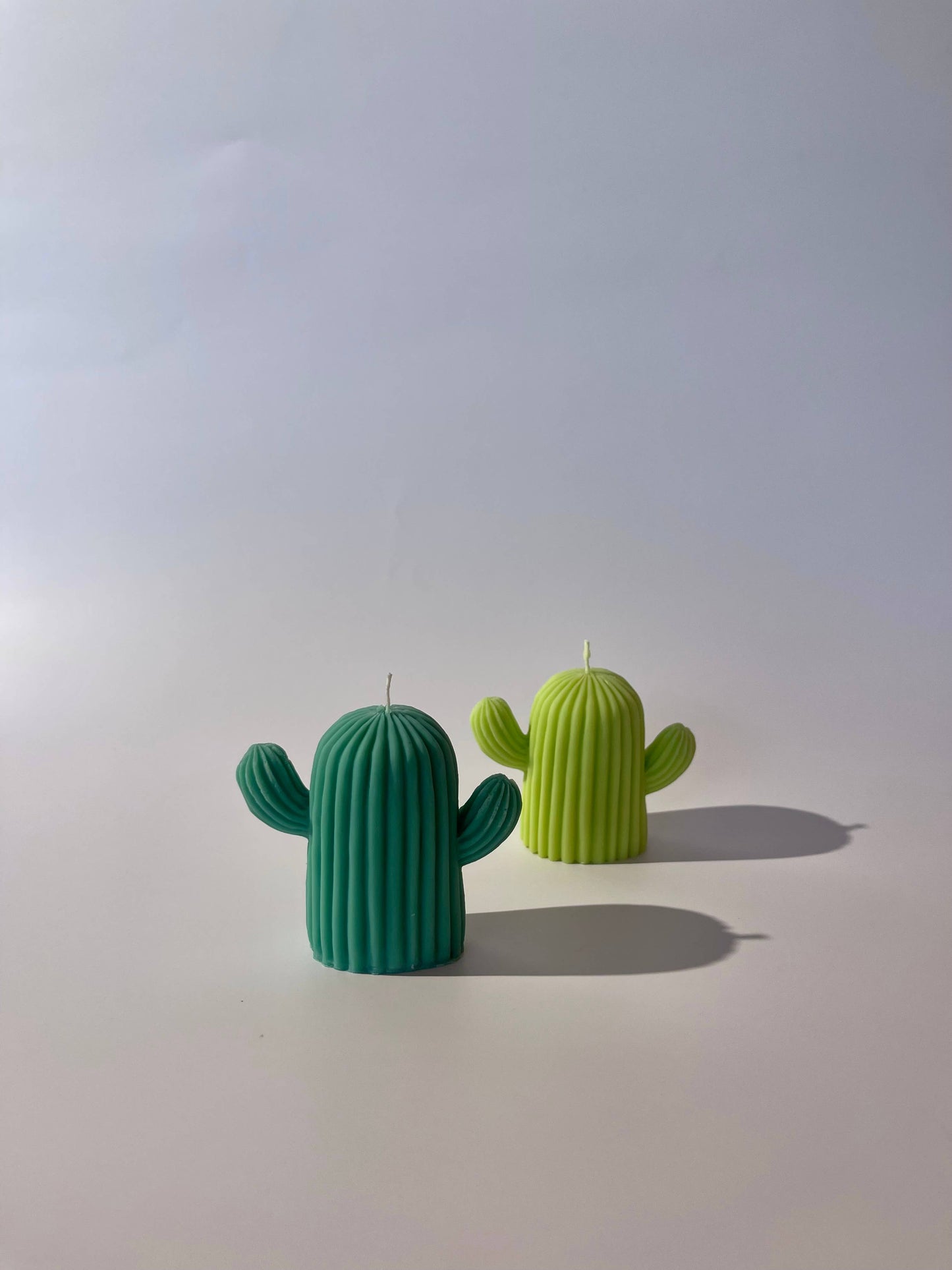 All Natural Soy Pillar Wax Cactus Decorative Candle
